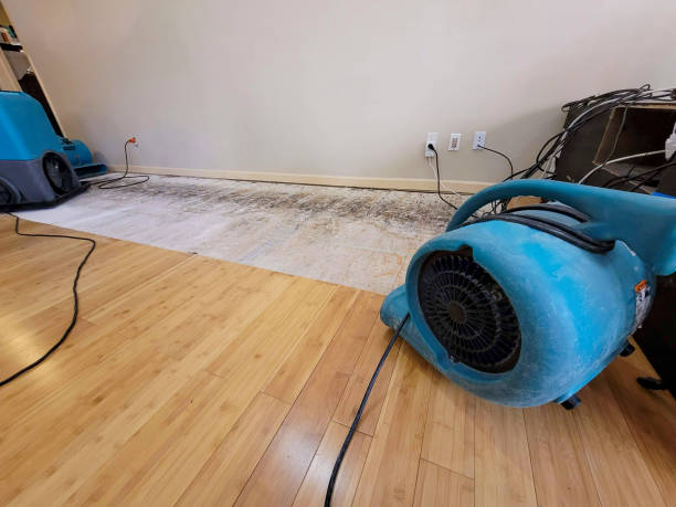 Professional Sewage Cleanup technician working in Burbank, IL